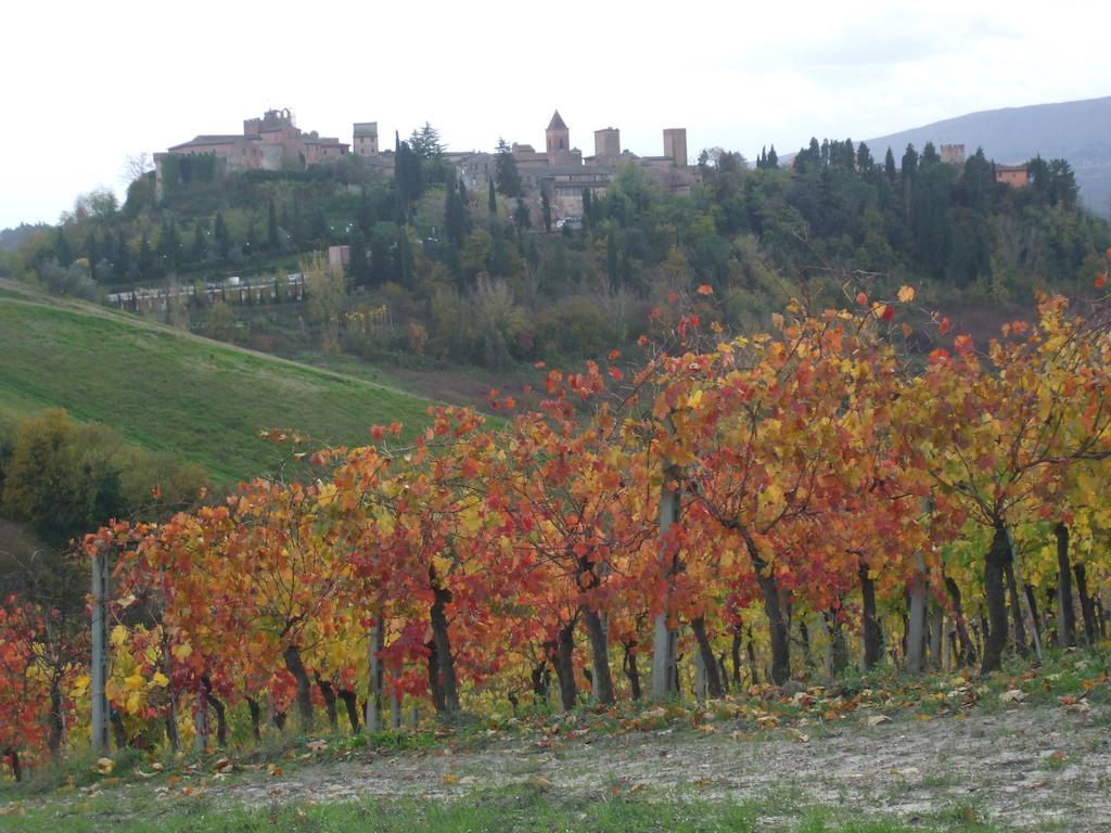 Villa Agriturismo Il Torrione Certaldo Exterior foto