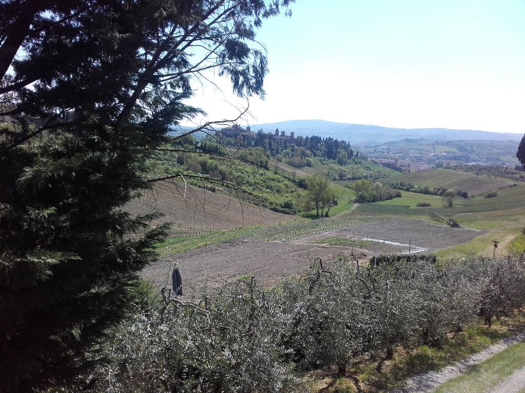 Villa Agriturismo Il Torrione Certaldo Exterior foto