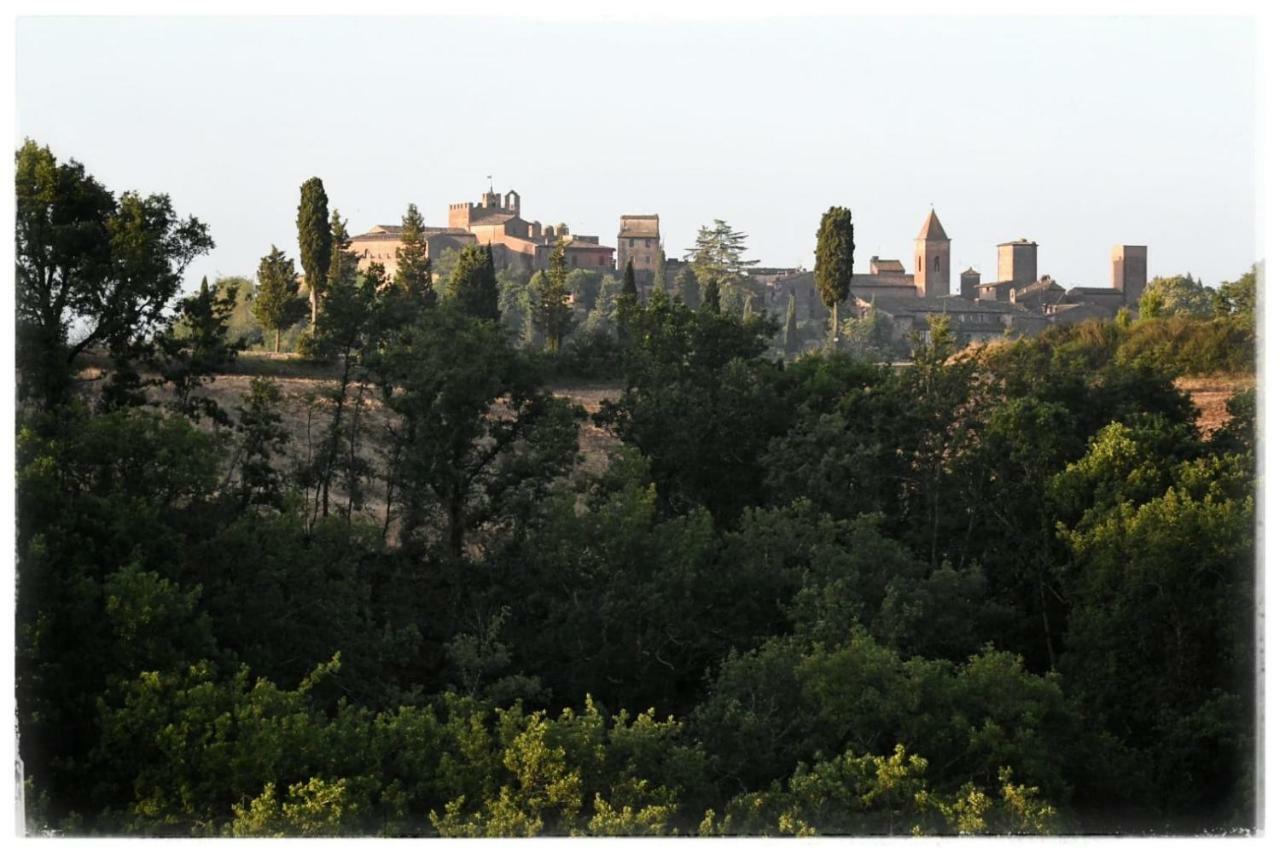 Villa Agriturismo Il Torrione Certaldo Exterior foto