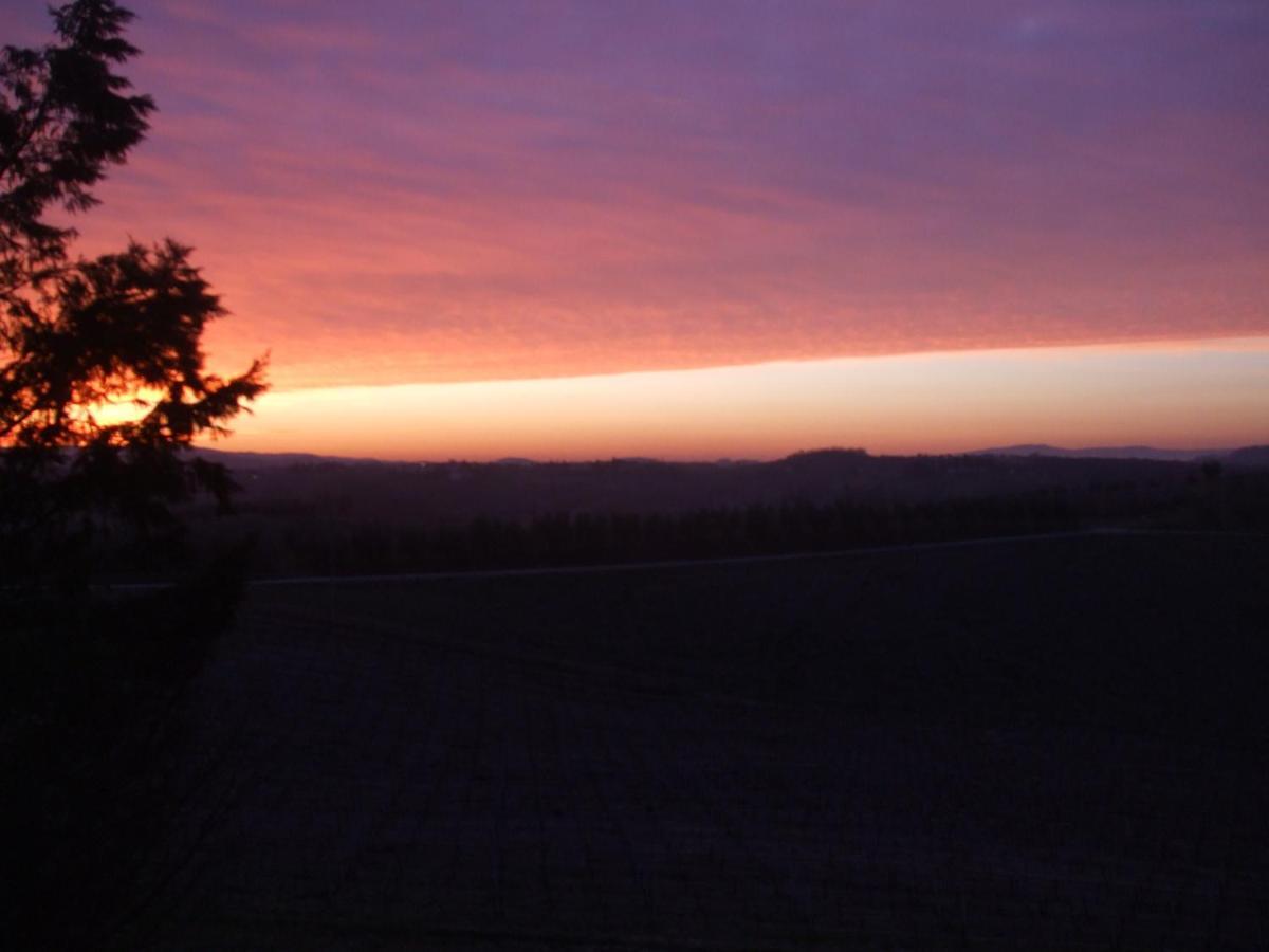 Agriturismo Il Torrione Certaldo Zimmer foto